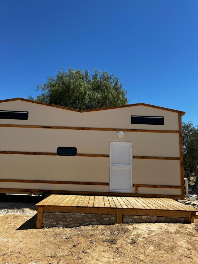 צימראוון בחוות זית המדבר Сде-Бокер Экстерьер фото